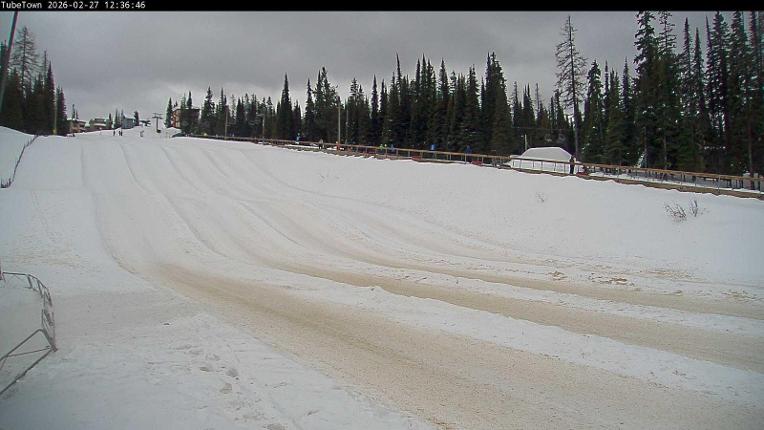 Webcam Silver Star: Tube Town