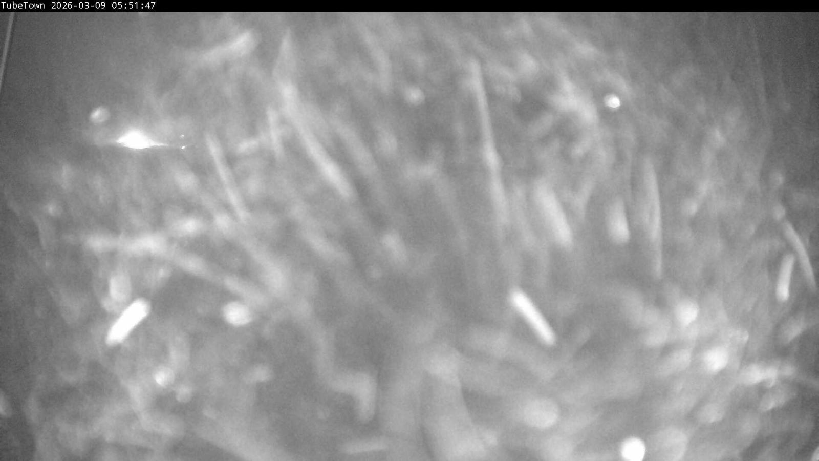 Webcam Silver Star: Tube Town