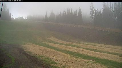 Silver Star webcam