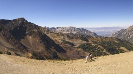 Snowbird: Hidden Peak (snowbird.com)