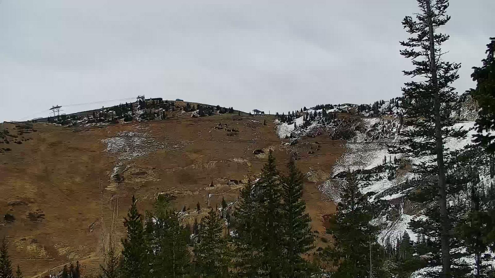 Webcam Snowbird: Little Cloud