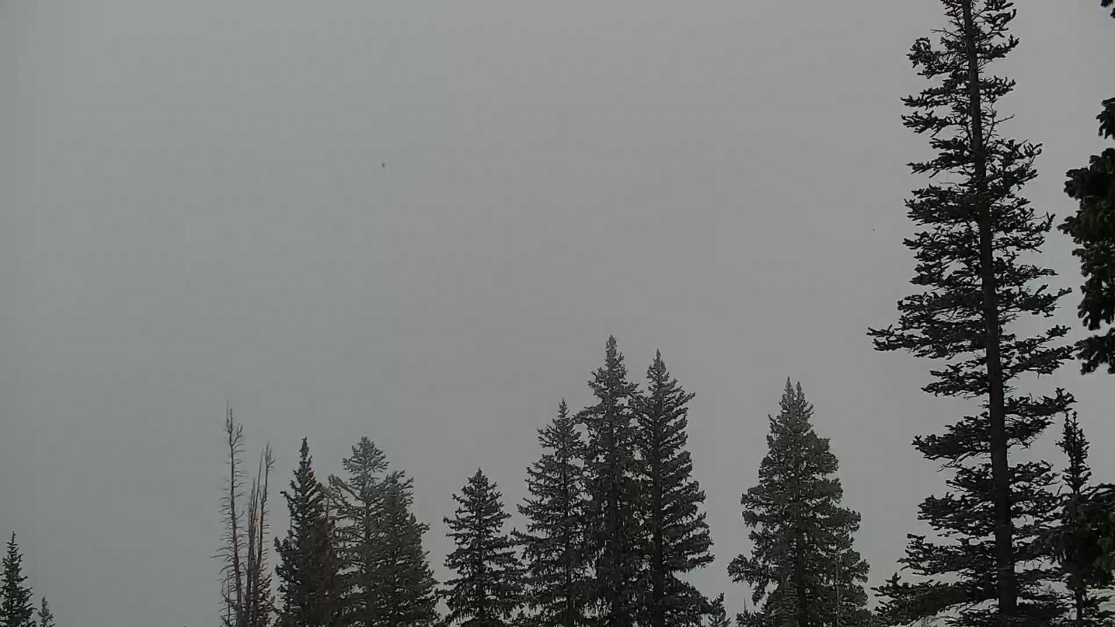 Webcam Snowbird: Little Cloud