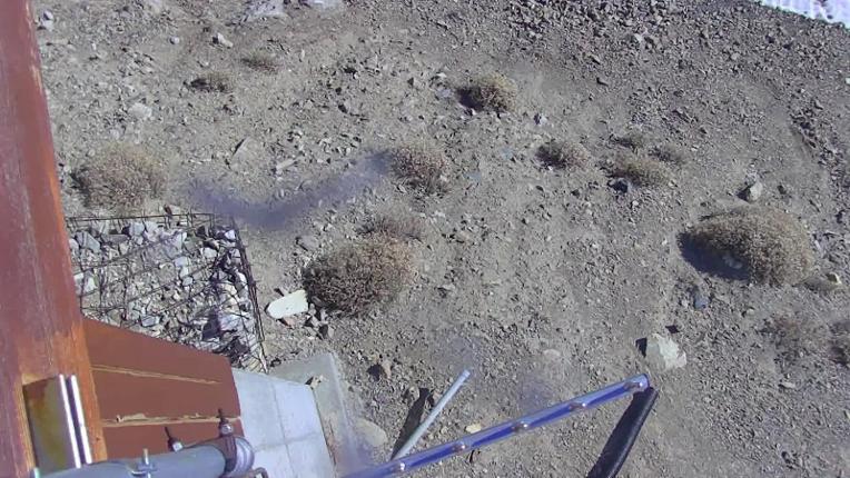 Webcam Snowbird: Mineral Basin