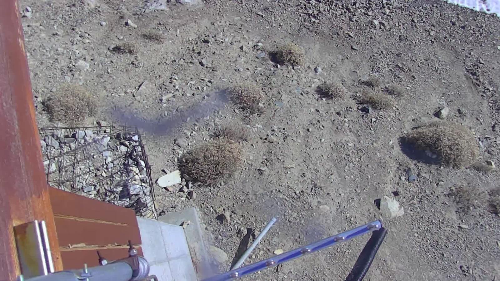 Webcam Snowbird: Mineral Basin