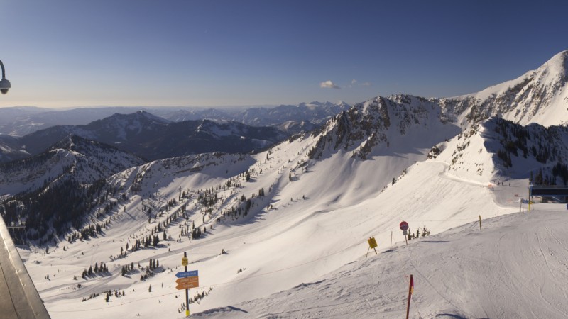 Webcam Snowbird: Powder paradise