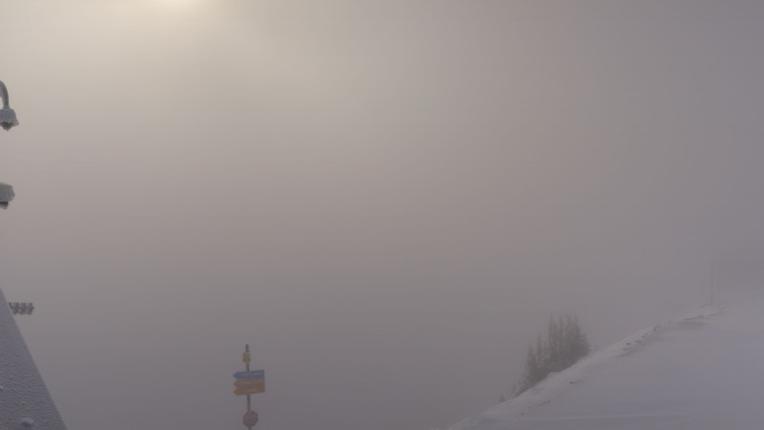 Webcam Snowbird: Powder paradise