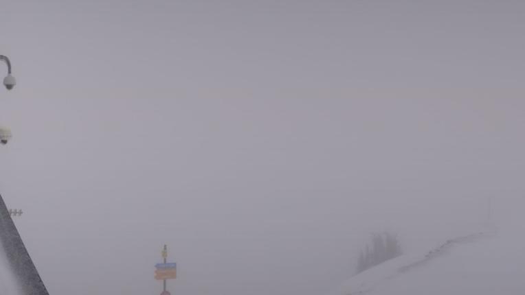 Webcam Snowbird: Powder paradise