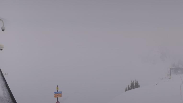 Webcam Snowbird: Powder paradise