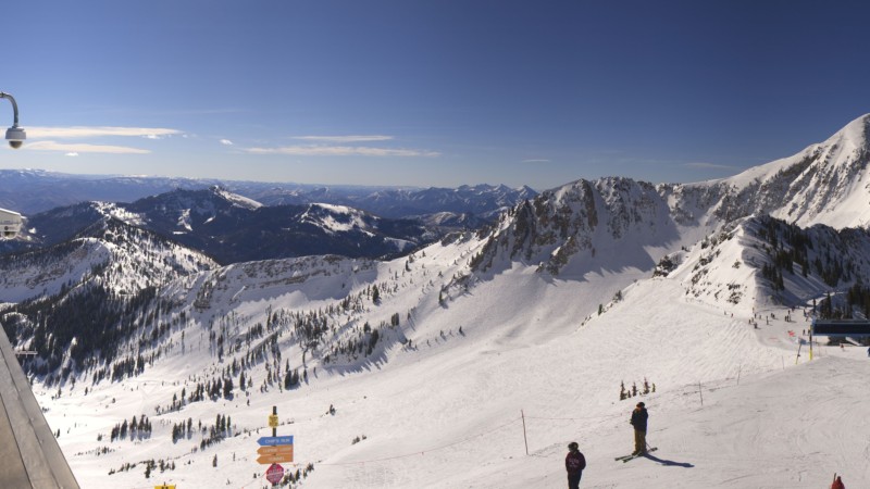 Webcam Snowbird: Powder paradise