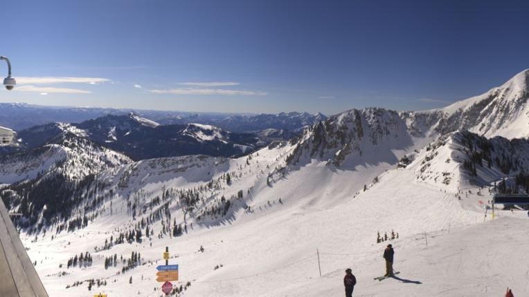 Webcam Snowbird: Powder paradise