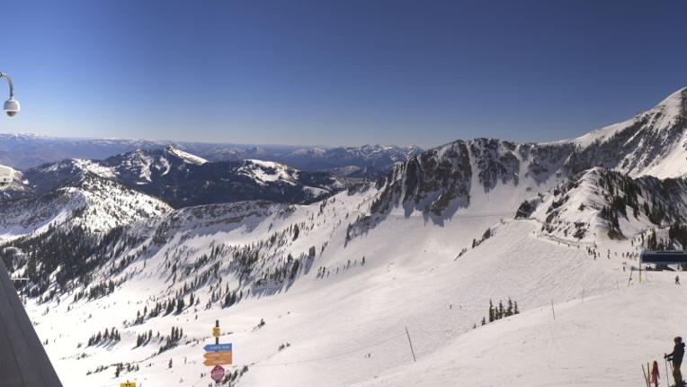 Webcam Snowbird: Powder paradise