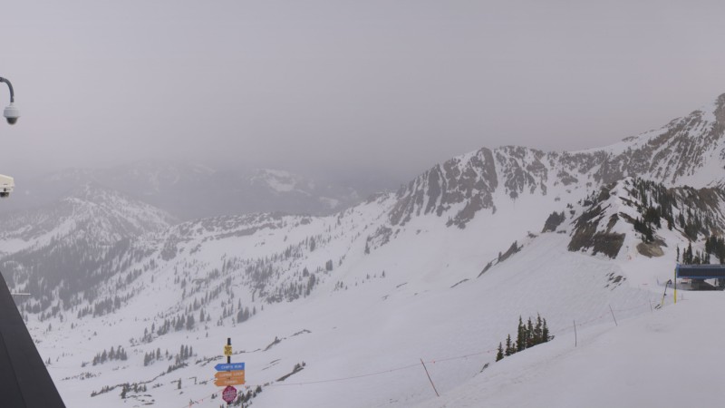 Webcam Snowbird: Powder paradise