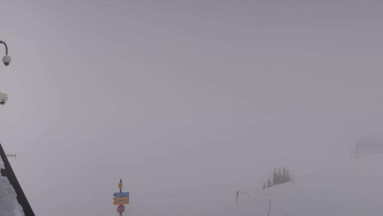 Webcam Snowbird: Powder paradise