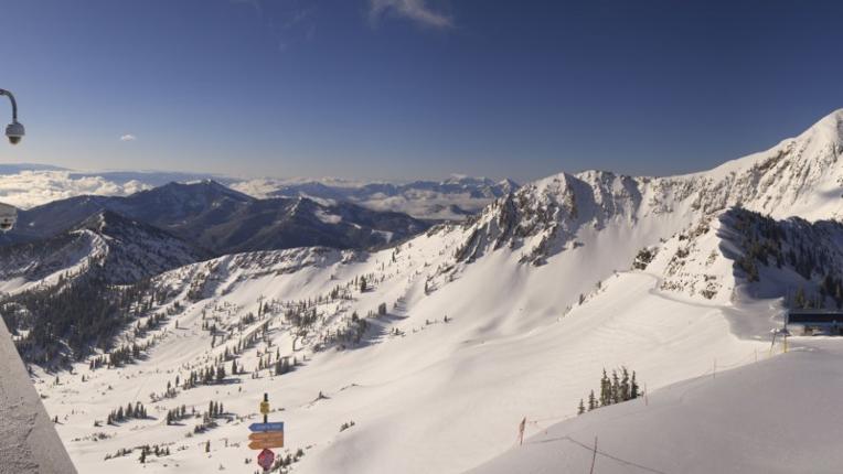 Webcam Snowbird: Powder paradise