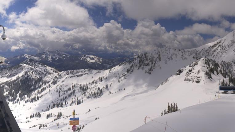 Webcam Snowbird: Powder paradise
