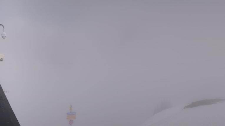 Webcam Snowbird: Powder paradise