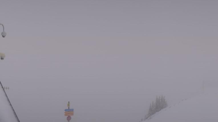 Webcam Snowbird: Powder paradise