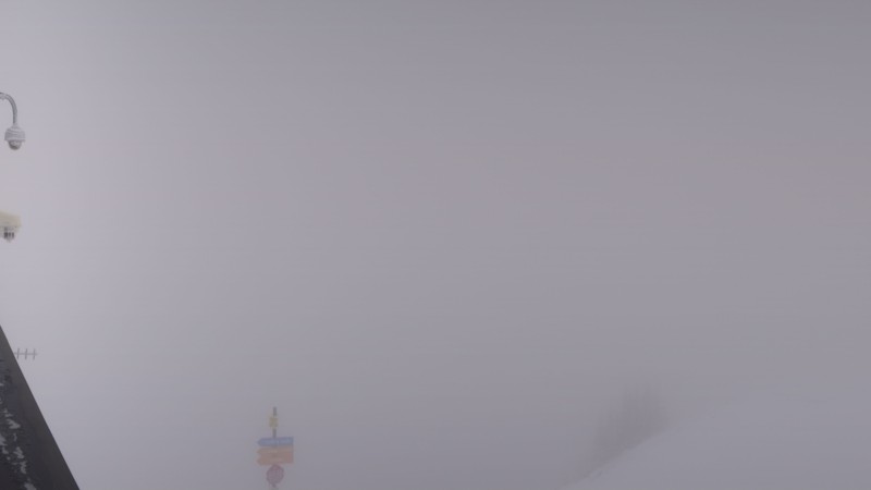 Webcam Snowbird: Powder paradise