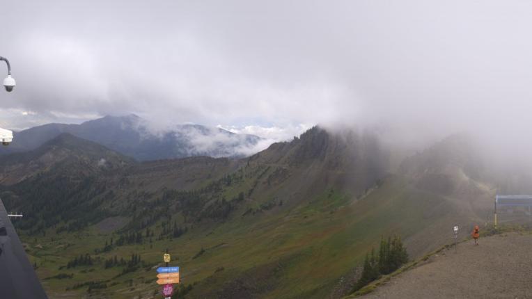 Webcam Snowbird: Powder paradise