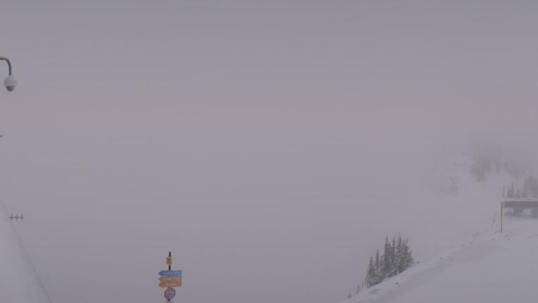 Webcam Snowbird: Powder paradise