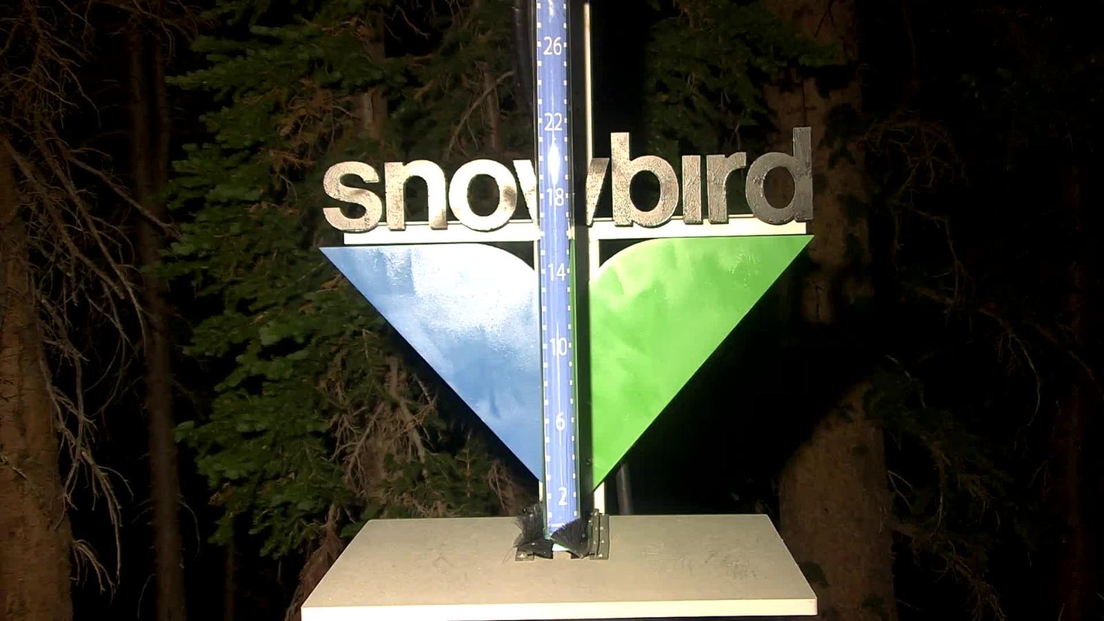 Webcam Snowbird: Snowstake