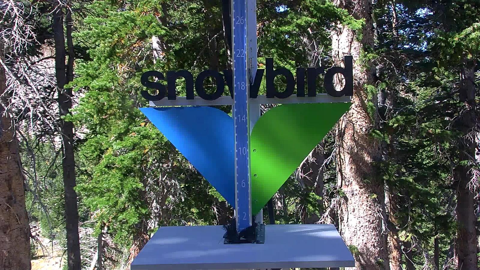 Webcam Snowbird: Snowstake