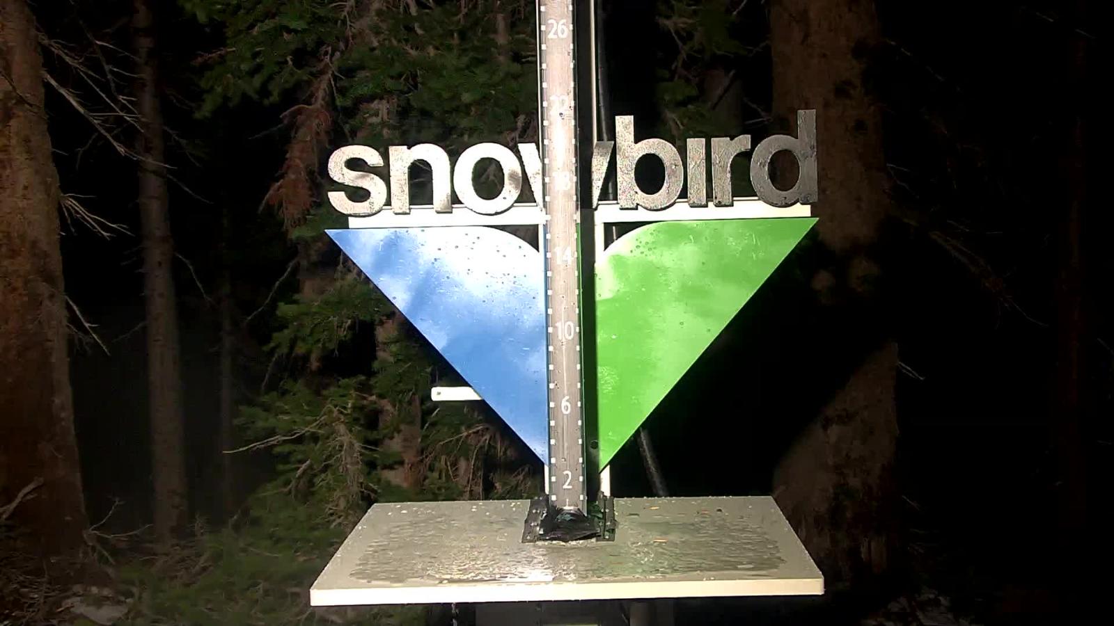 Webcam Snowbird: Snowstake
