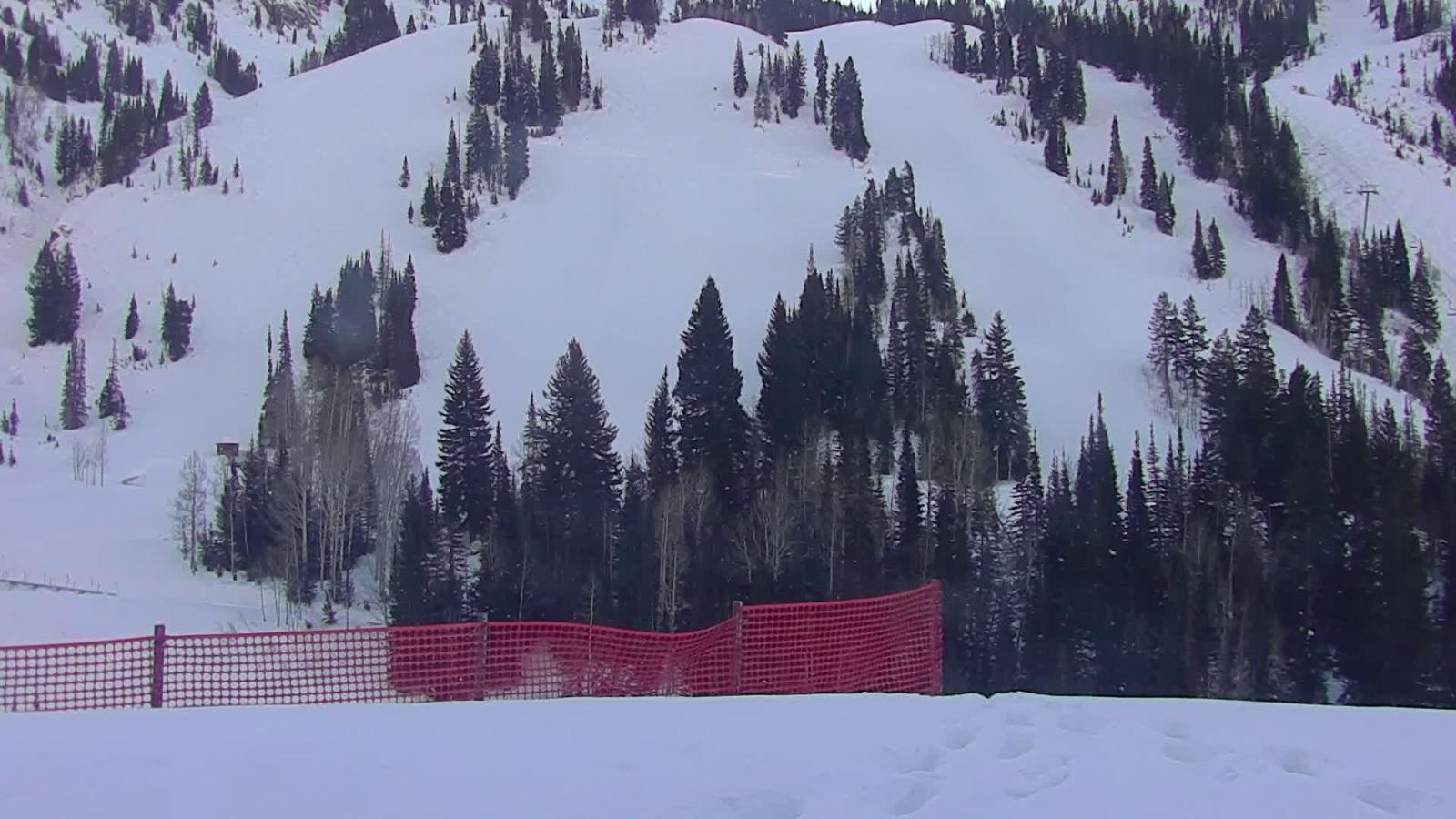 Webcam Snowbird: The Cliff Lodge