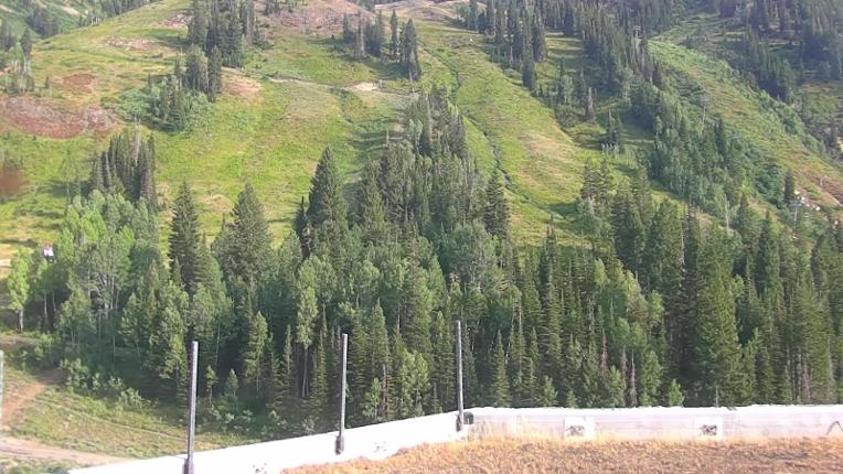 Webcam Snowbird: The Cliff Lodge