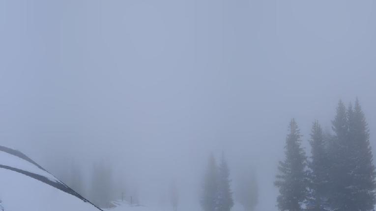 Webcam Snowmass: Elk camp