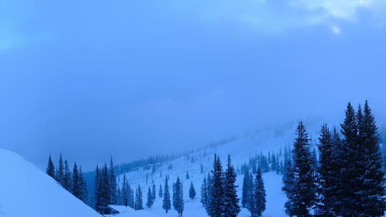 Webcam Snowmass: Elk camp