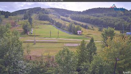 Stoneham webcam