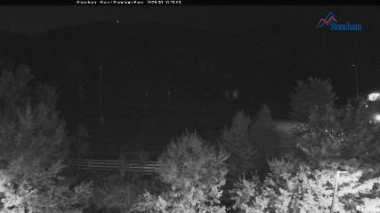 Stoneham webcam