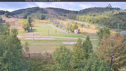 Stoneham webcam