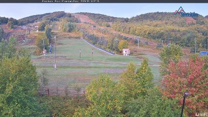 Stoneham webcam