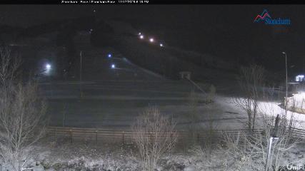 Stoneham webcam
