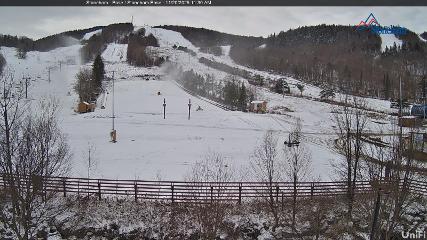 Stoneham webcam