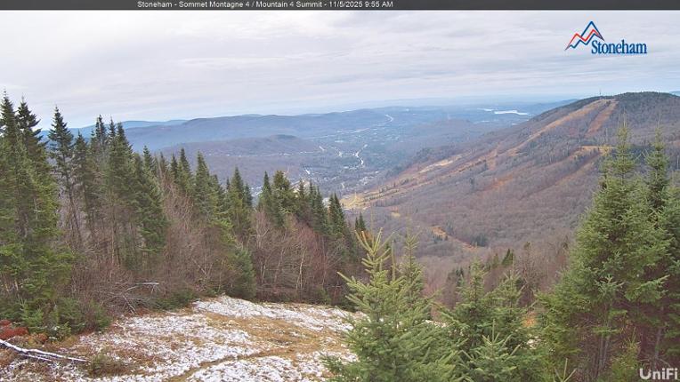 Webcam Stoneham: Sommet des 40