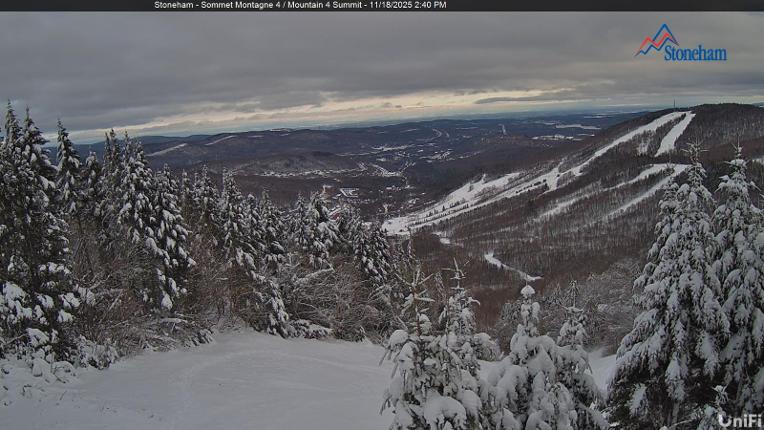 Webcam Stoneham: Sommet des 40