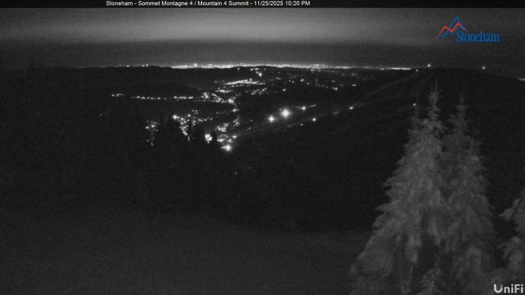 Webcam Stoneham: Sommet des 40
