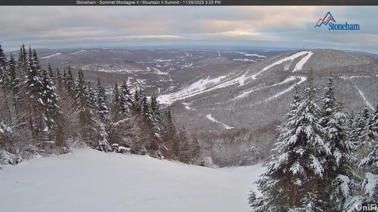 Webcam Stoneham: Sommet des 40