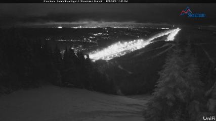 Stoneham: Sommet des 40 (ski-stoneham.com)