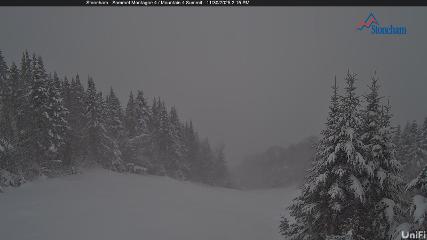 Stoneham: Sommet des 40 (ski-stoneham.com)