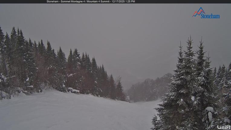Webcam Stoneham: Sommet des 40