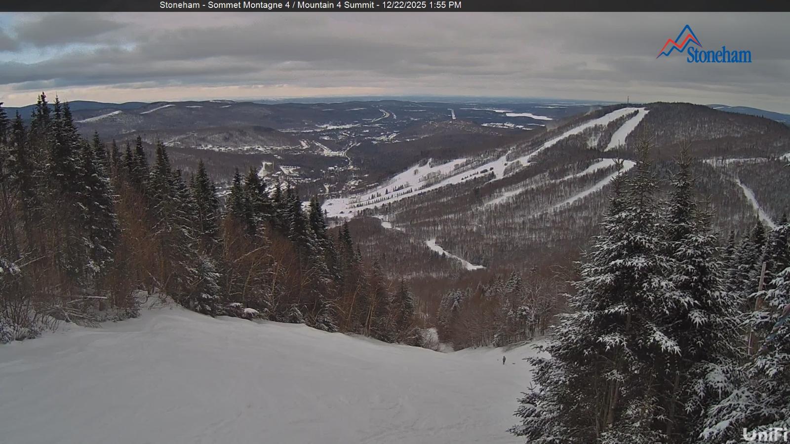 Webcam Stoneham: Sommet des 40