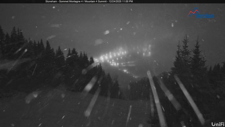 Webcam Stoneham: Sommet des 40