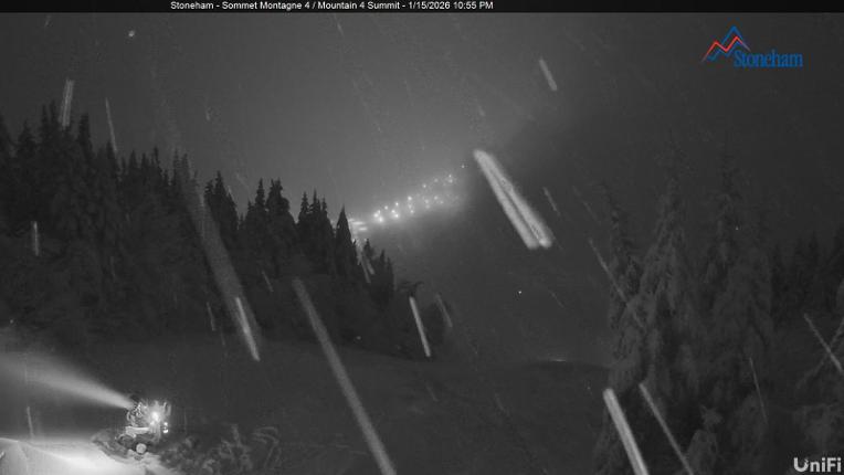 Webcam Stoneham: Sommet des 40