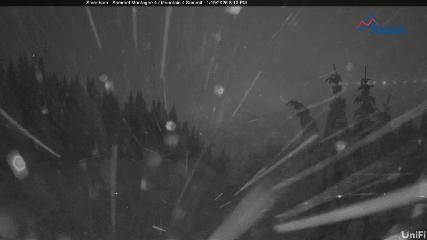 Stoneham: Sommet des 40 (ski-stoneham.com)