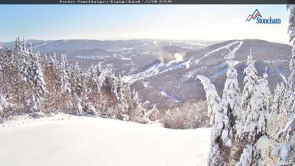 Stoneham webcam