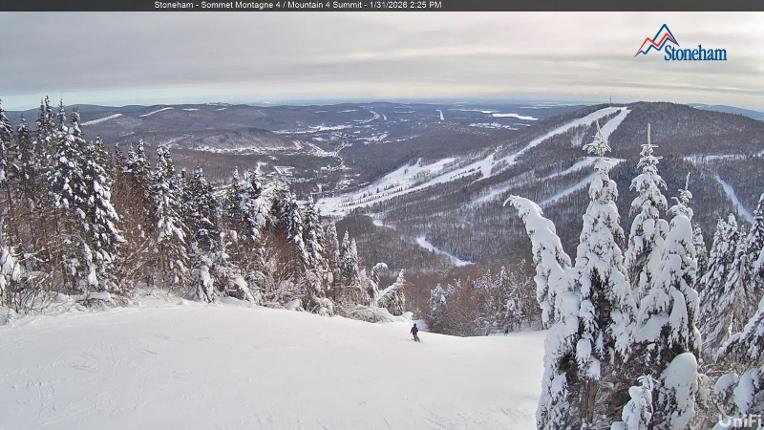 Webcam Stoneham: Sommet des 40